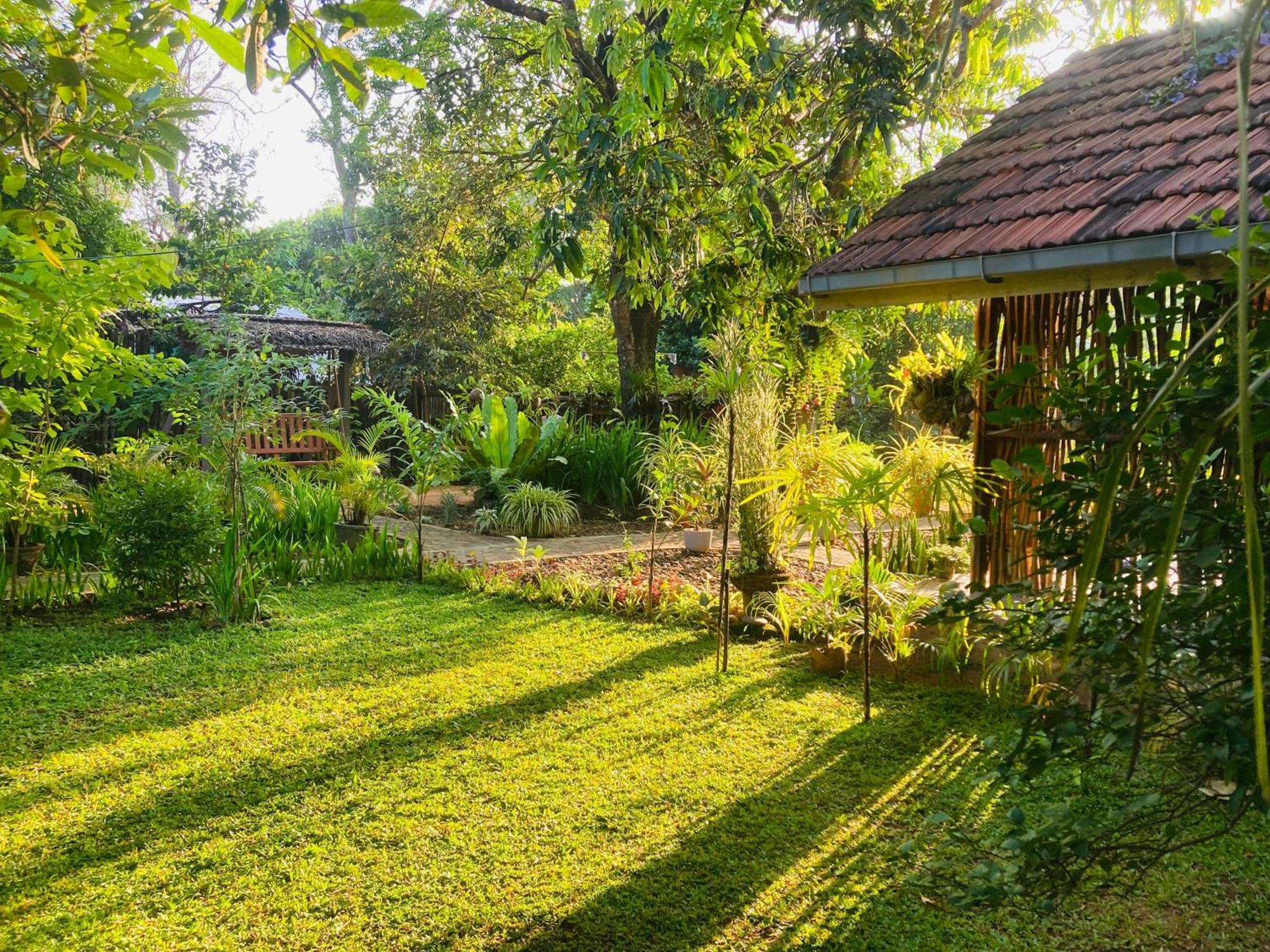 Green Paradise Cottage Udawalawa Удавалаве Екстериор снимка