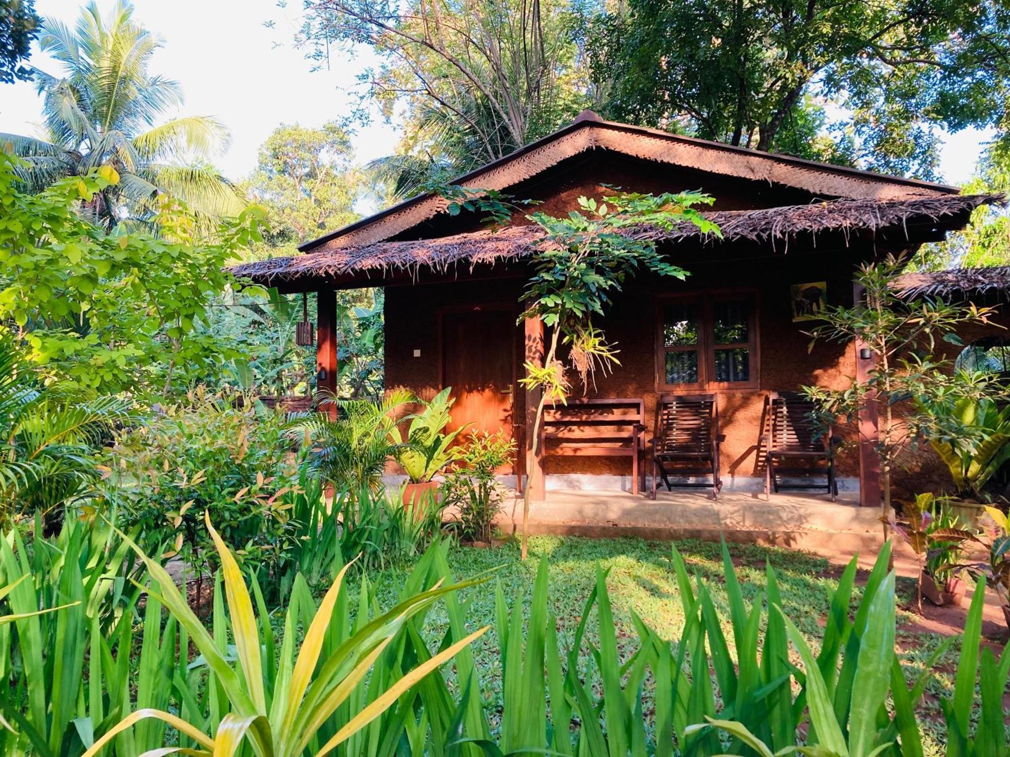 Green Paradise Cottage Udawalawa Удавалаве Екстериор снимка