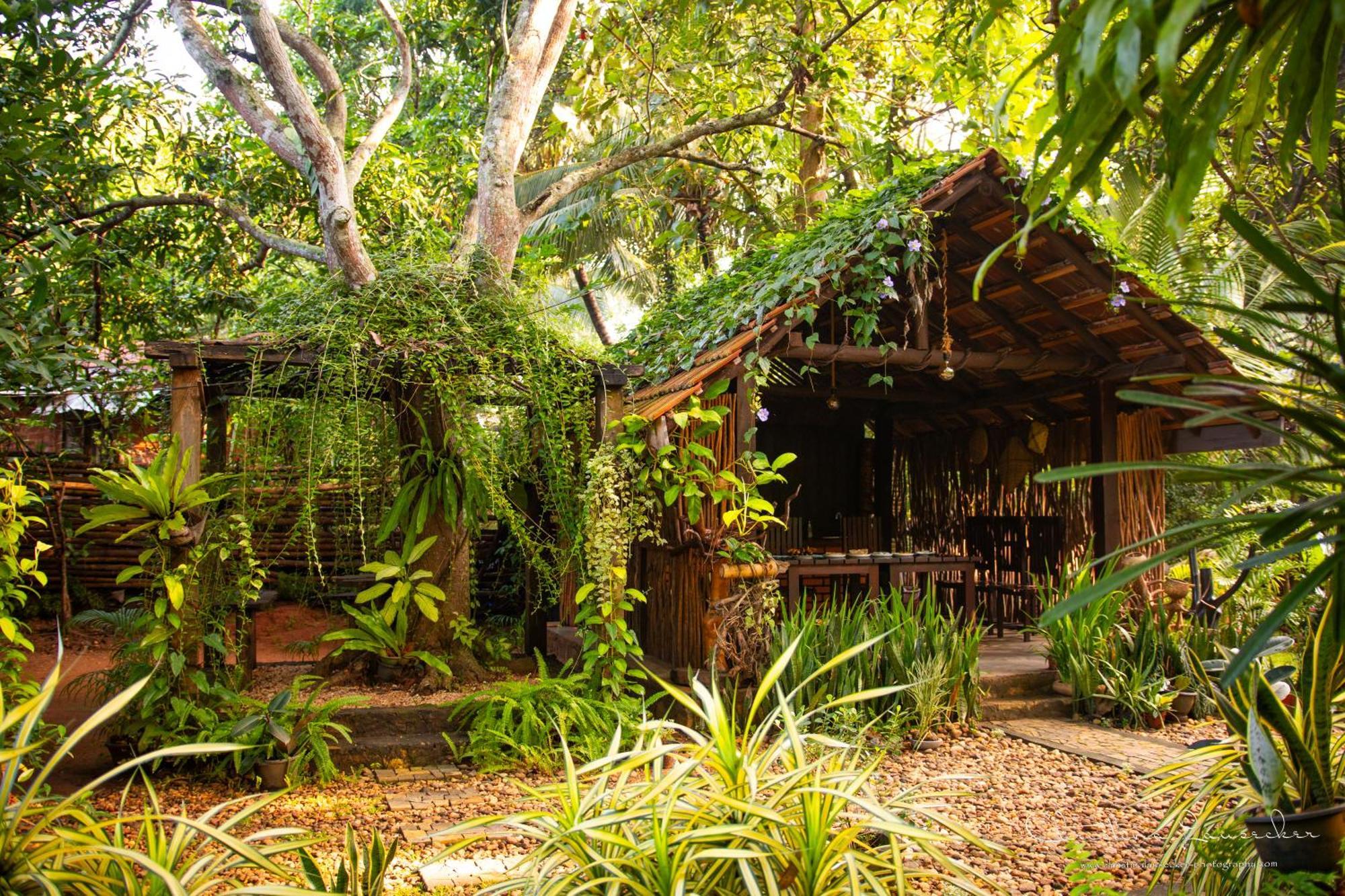 Green Paradise Cottage Udawalawa Удавалаве Екстериор снимка
