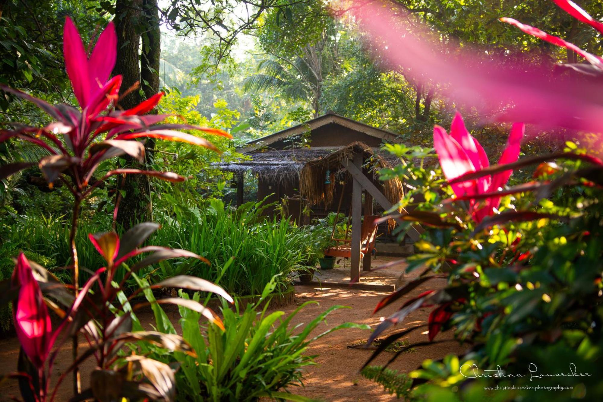 Green Paradise Cottage Udawalawa Удавалаве Екстериор снимка