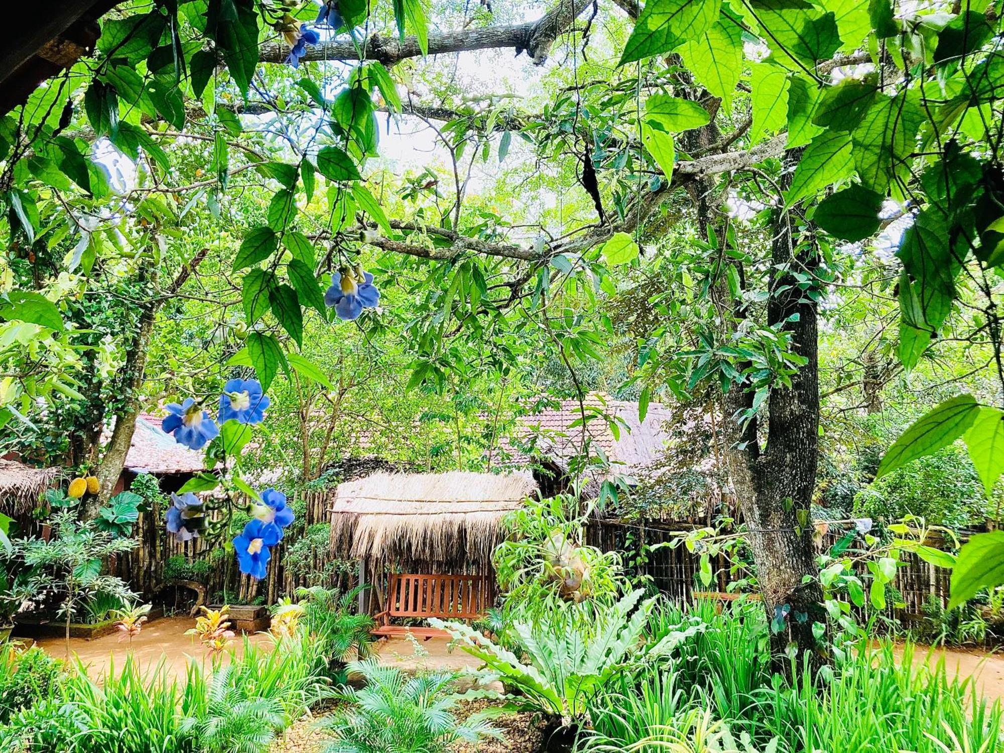 Green Paradise Cottage Udawalawa Удавалаве Екстериор снимка