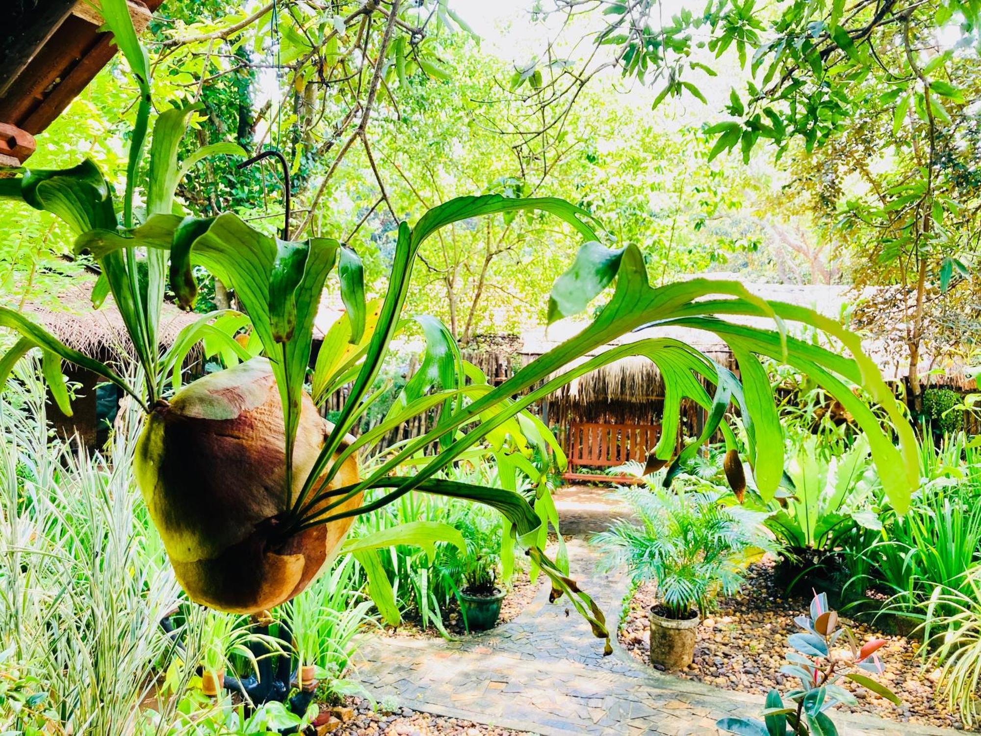 Green Paradise Cottage Udawalawa Удавалаве Екстериор снимка