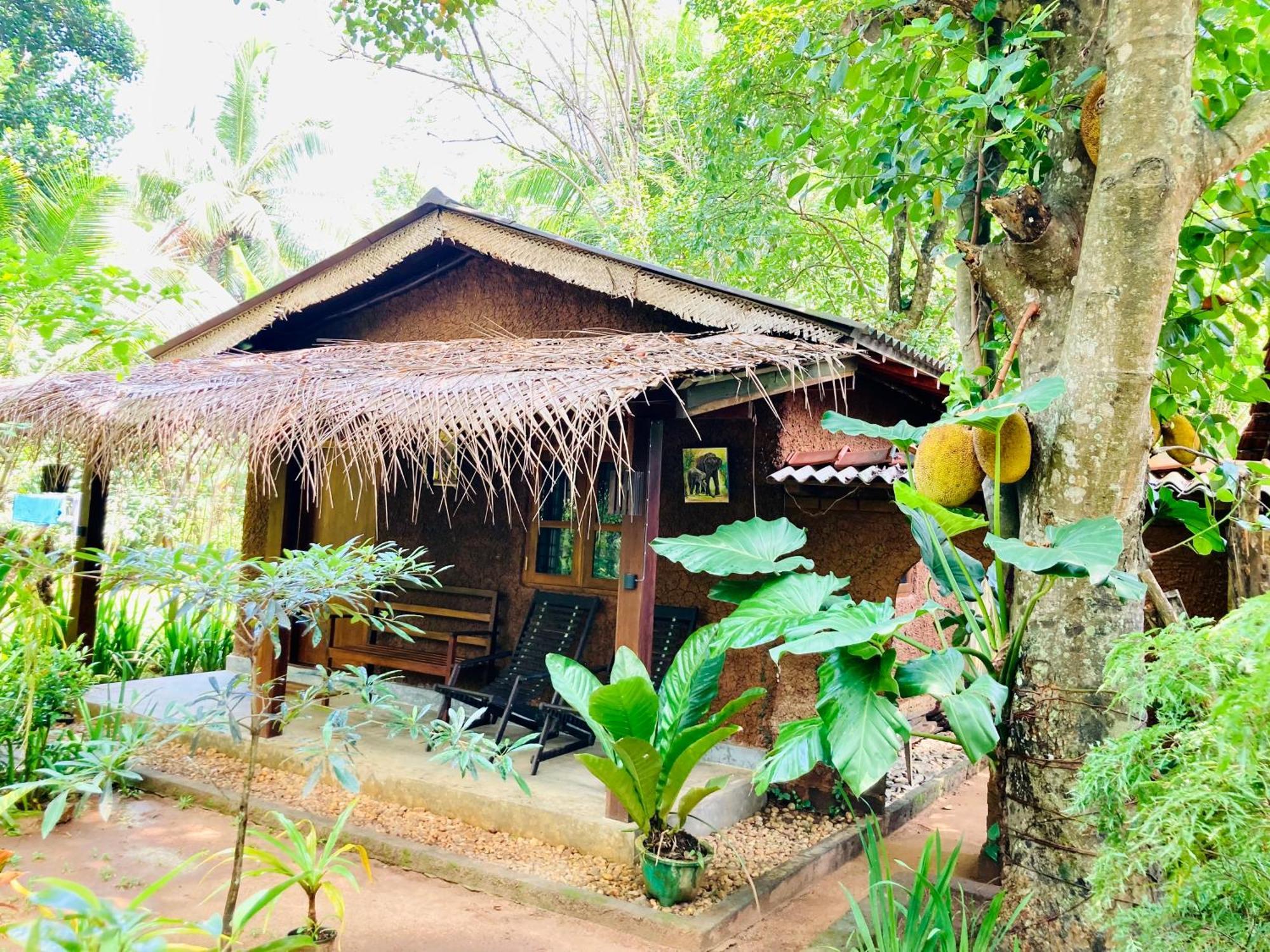 Green Paradise Cottage Udawalawa Удавалаве Екстериор снимка