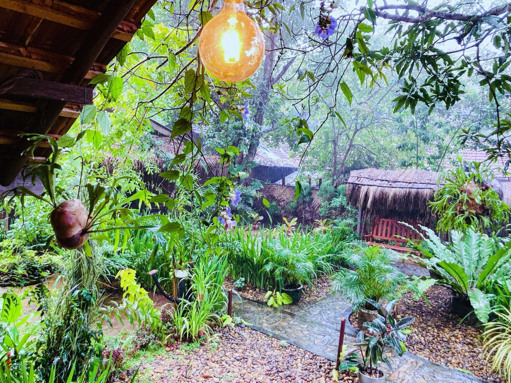 Green Paradise Cottage Udawalawa Удавалаве Екстериор снимка